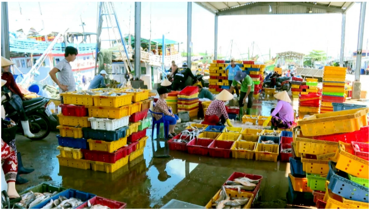 Những chuyển biến tích cực từ trung ương đến cơ sở cho thấy quyết tâm lớn của tỉnh Vĩnh Long trong việc chống khai thác IUU.