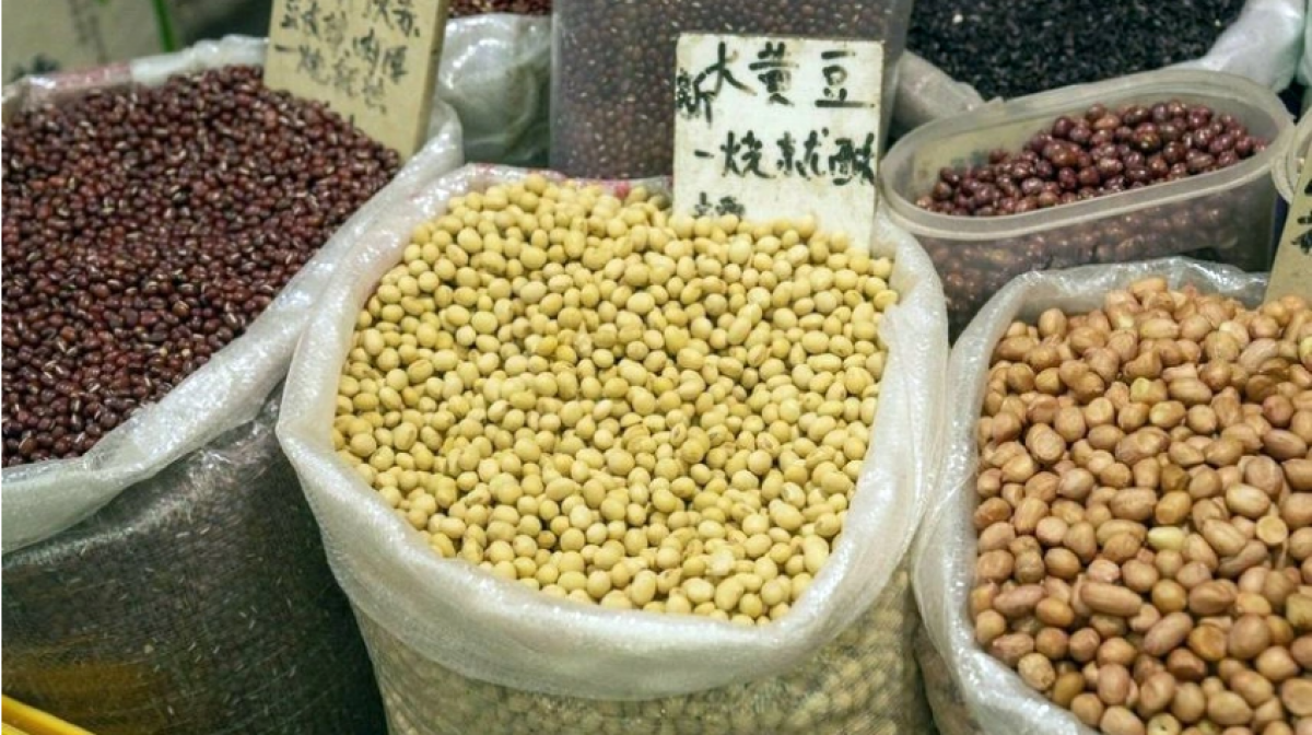 Đậu nành là mặt hàng nông sản lớn nhất của Mỹ xuất khẩu vào Trung Quốc, với kim ngạch đạt gần 13 tỷ USD trong năm 2024 - Ảnh: Getty Images