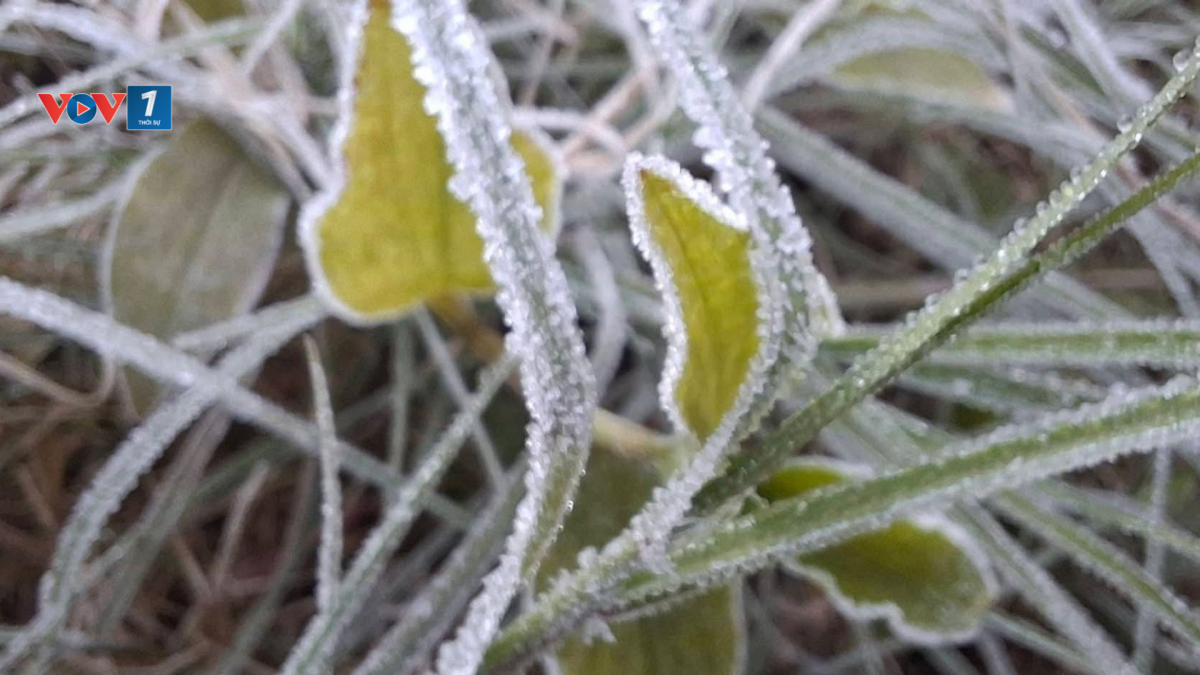 Gây ảnh hưởng đến sản xuất