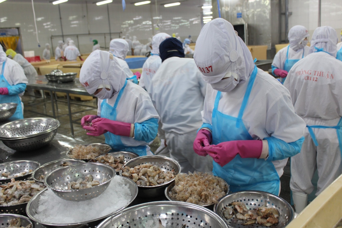 Doanh nghiệp xuất khẩu tăng tốc cho đơn hàng cuối năm sang thị trường EU