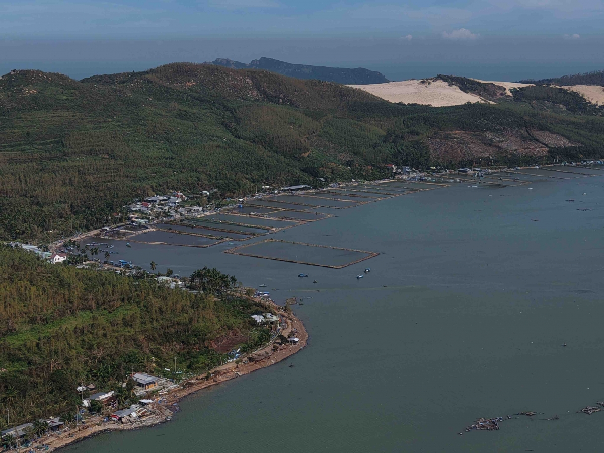 Vùng biển Vũng Chao, Hòn Mắm là khu vực trọng điểm nuôi trồng thủy sản, trong đó có tôm hùm xanh, của tỉnh Đắk Lắk.