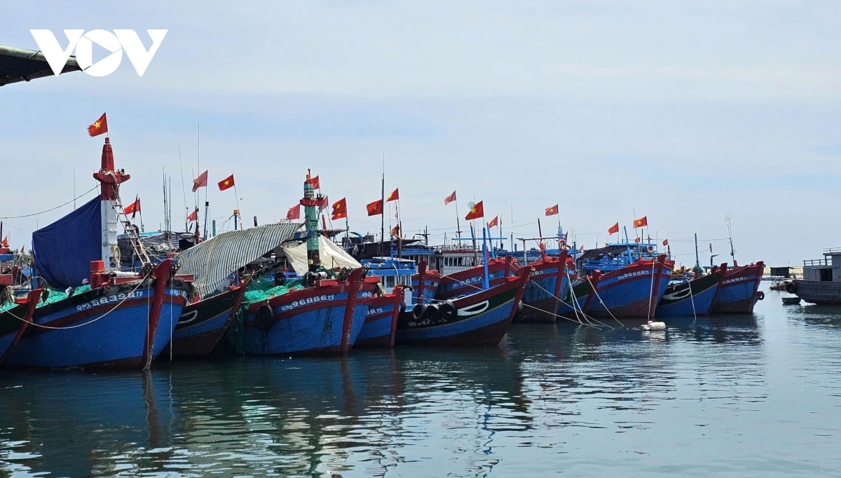 Tàu cá neo đậu ở đặc khu Lý Sơn.