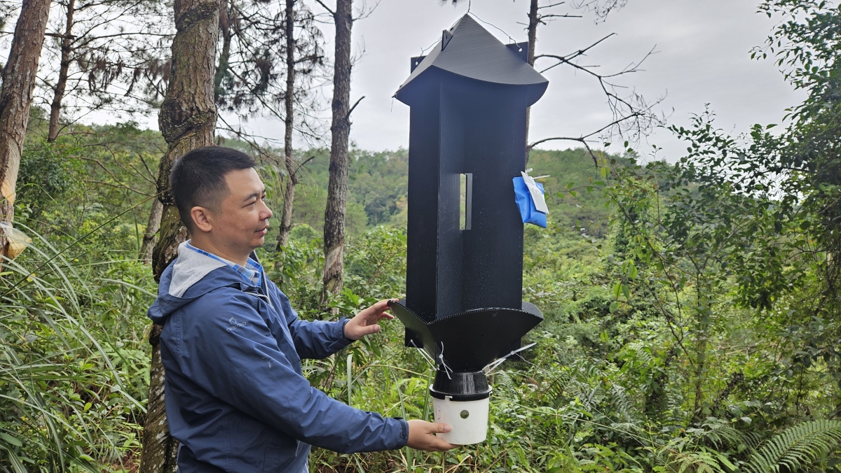 Anh Trần Xuân Hưng thao tác tháo bẫy để thu thập mẫu côn trùng