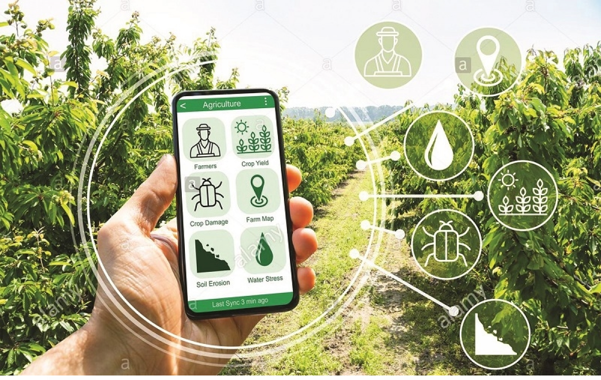 Ứng dụng nhiều phần mềm trong quản lý, theo dõi sản xuất nông nghiệp