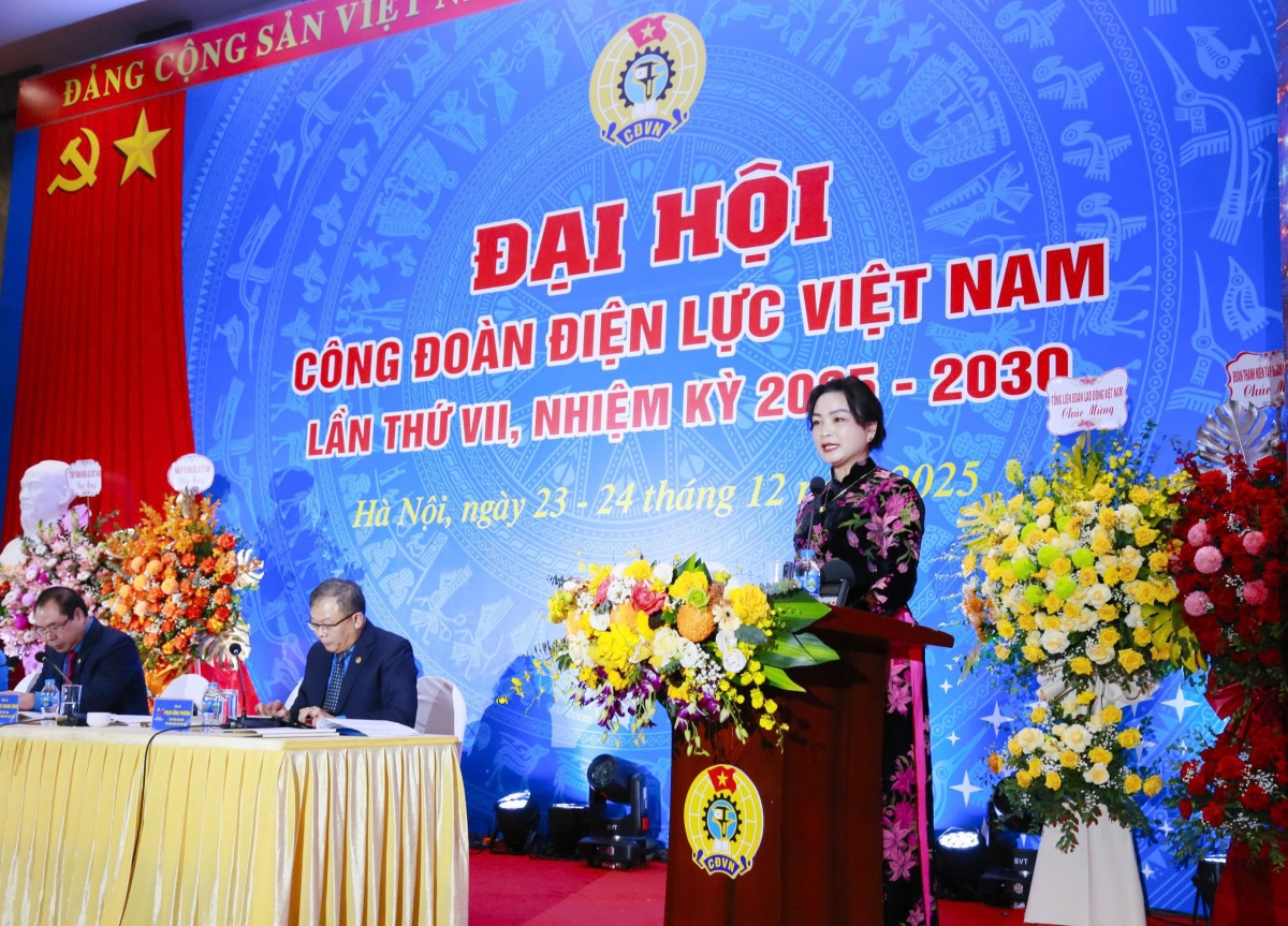 Bà Đinh Thị Thanh Bình, Phó Chủ tịch Công đoàn Điện lực Việt Nam