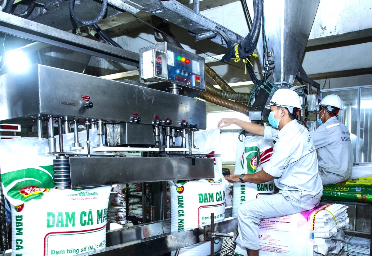 Với công nghệ sản xuất ure hạt đục, Đạm Cà Mau đang có thị phần xuất khẩu ổn định