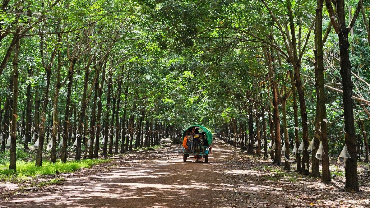 Việc phát triển đảng viên đồng bào còn nhiều khó khăn do trình độ học vấn hạn chế, điều kiện kinh tế khó khăn, tâm lý e ngại khi tham gia tổ chức Đảng và sự phân tán dân cư.