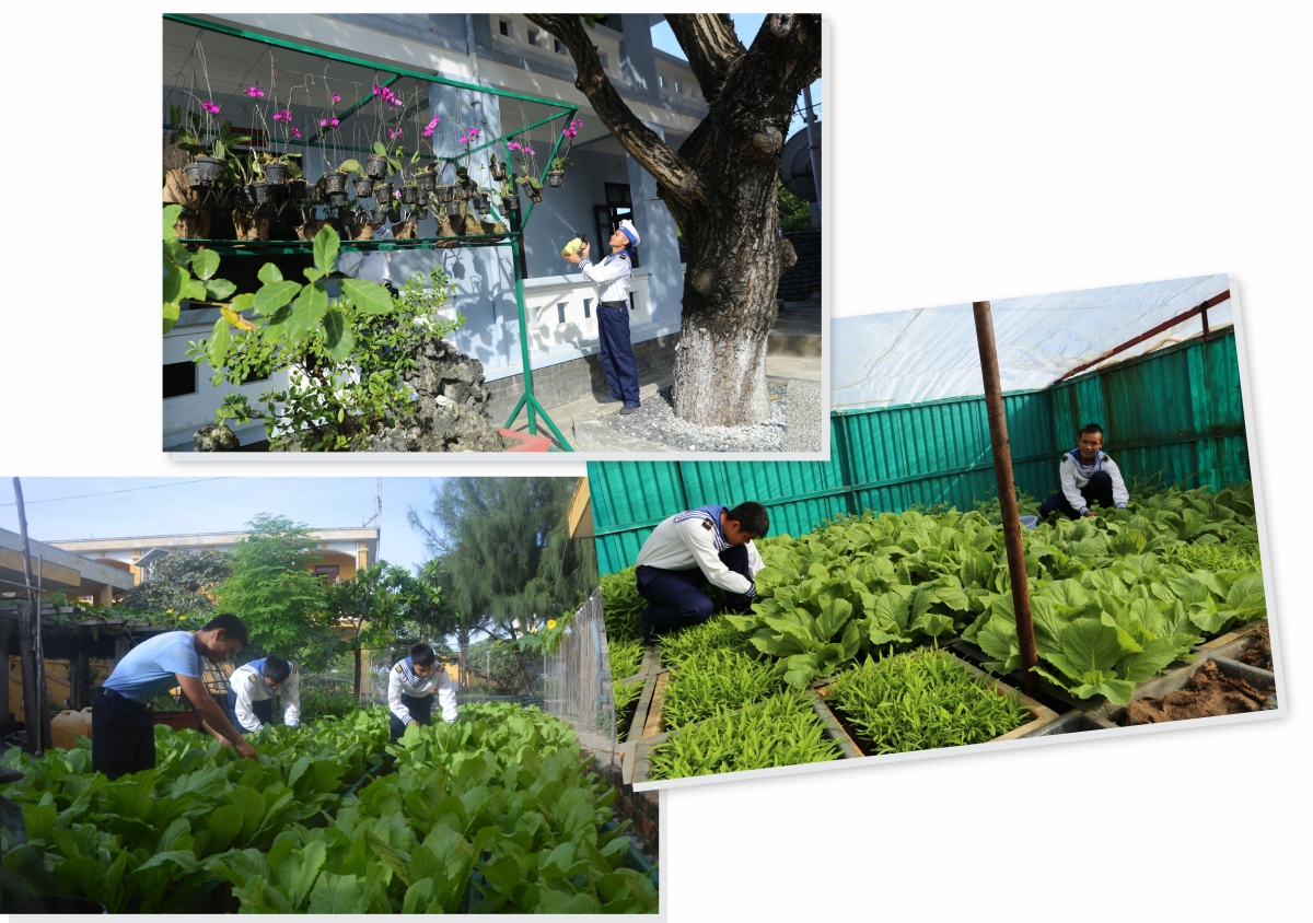 Những vườn rau xanh xuất hiện nhiều tại các đảo thuộc Đặc khu Trường Sa