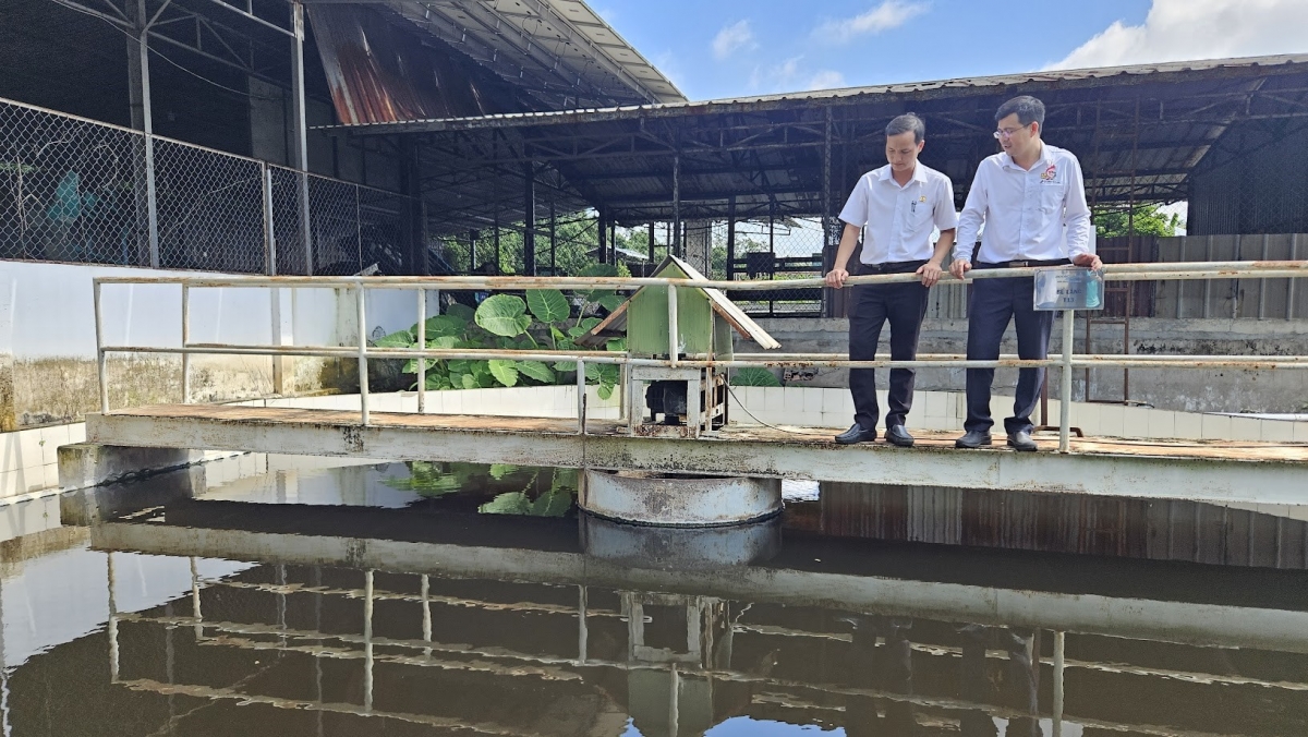 Chiến lược chuyển đổi “xanh – tuần hoàn – bền vững” của VRG, các đơn vị thành viên đang cho thấy vai trò nổi bật của đội ngũ đảng viên giữ cương vị đứng đầu.