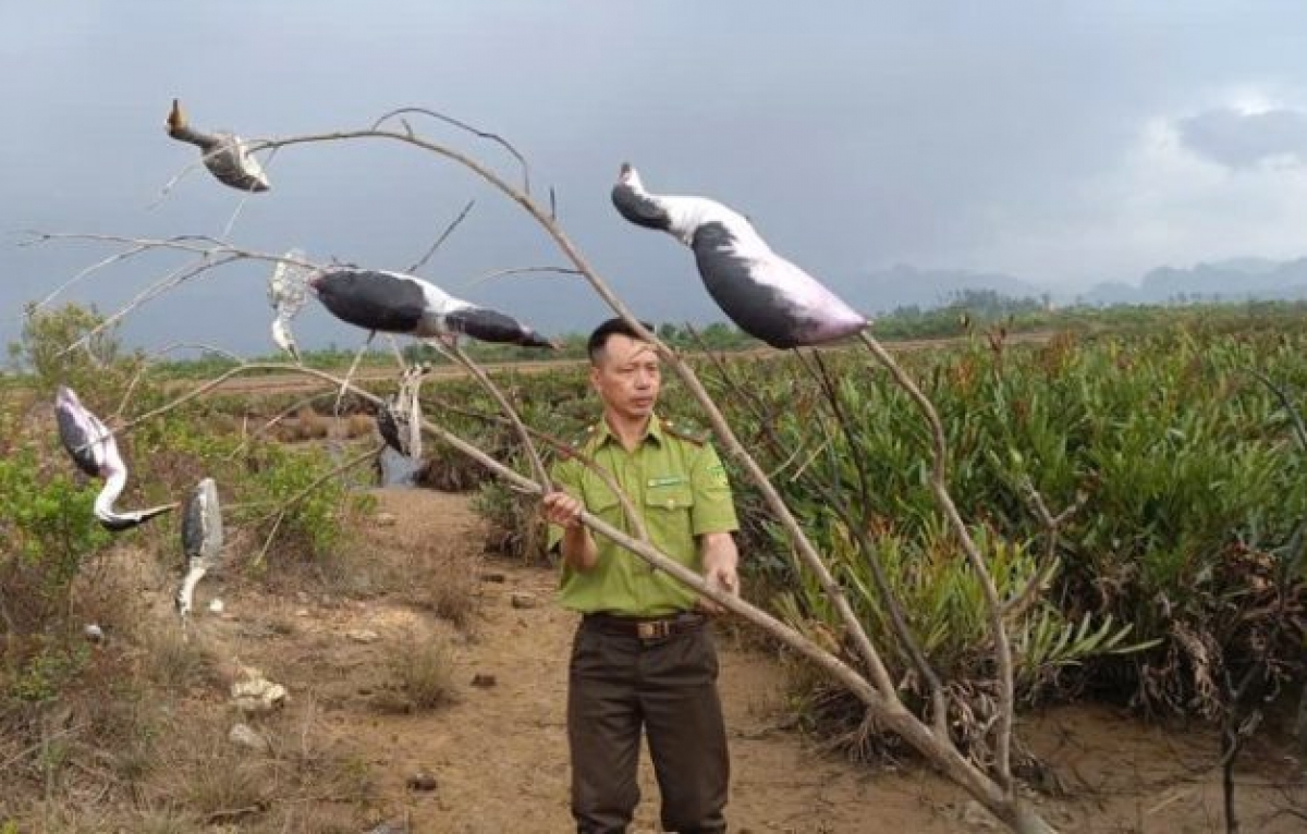 Các đơn vị chức năng tháo gỡ cọc tre và chim cò giả