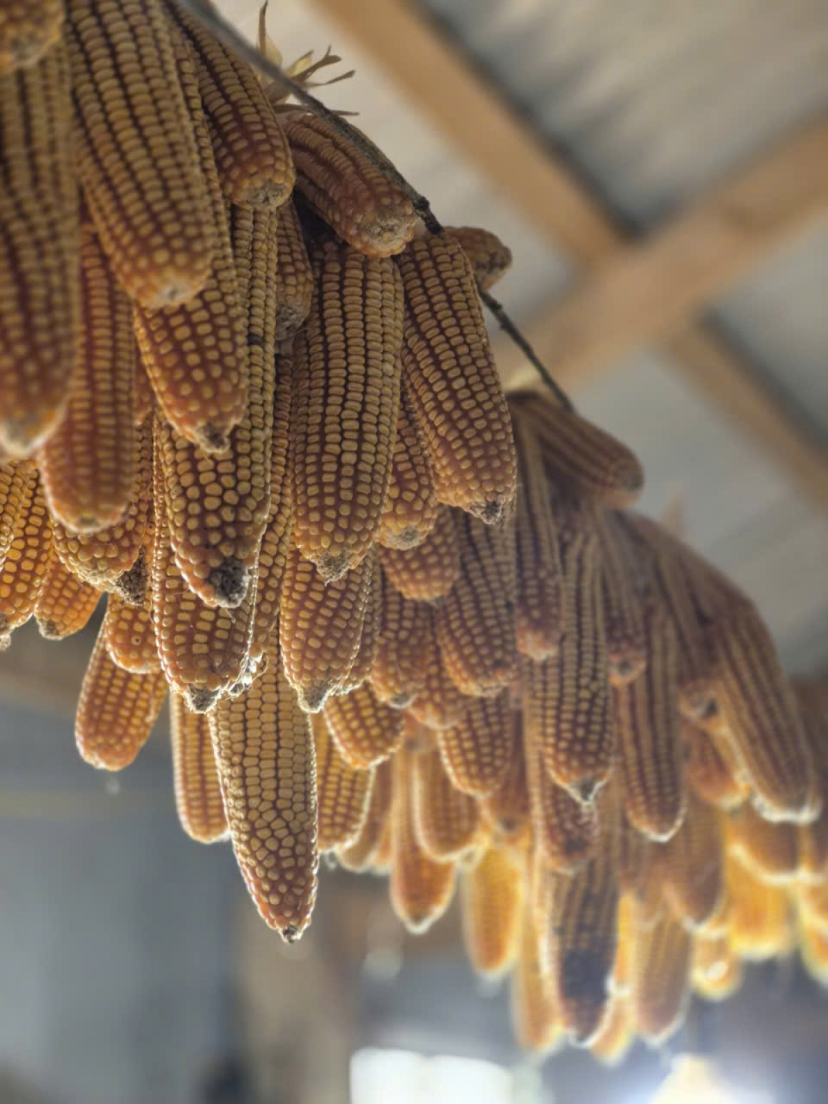 Chính phủ Việt Nam luôn quan tâm đến đời sống của người dân