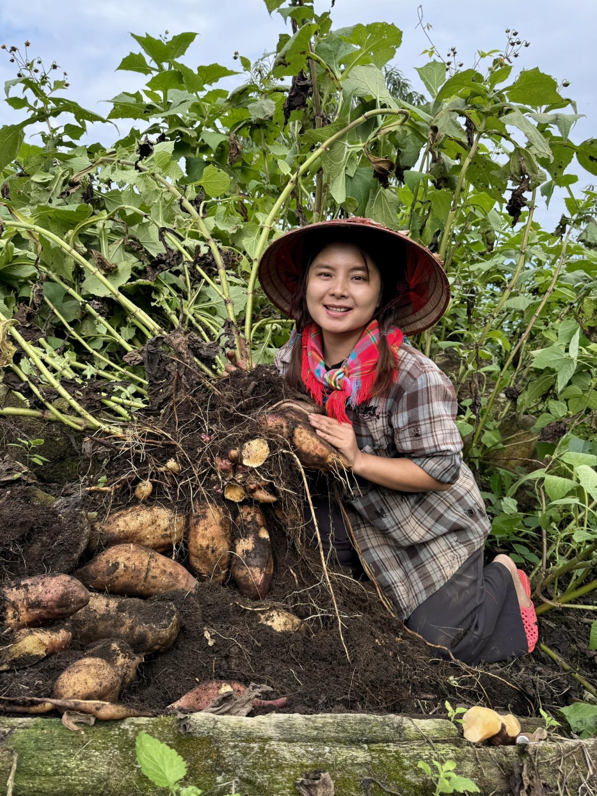 Chị Chảo Thị Yến, người dân xã A Mú Sung, tỉnh Lào Cai