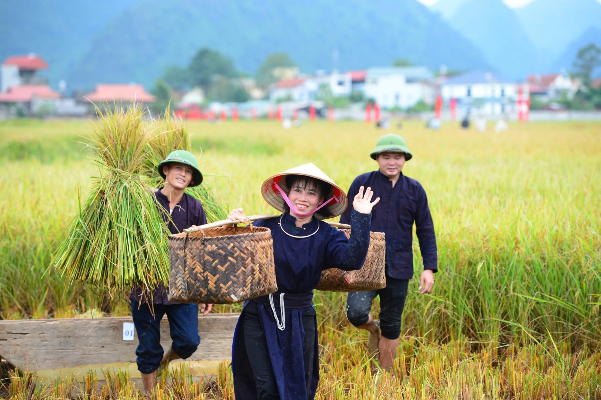 Niềm vui mùa gặt của bà con xã Bắc Sơn, tỉnh Lạng Sơn 