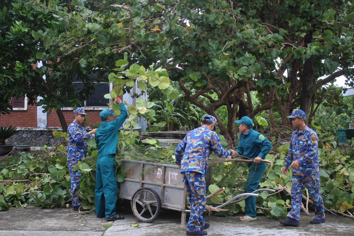 Cán bộ, chiến sĩ đảo Sinh Tồn, Đặc khu Trường Sa, lực lượng dân quân tự vệ cắt tỉa cây xanh phòng chống gió mạnh