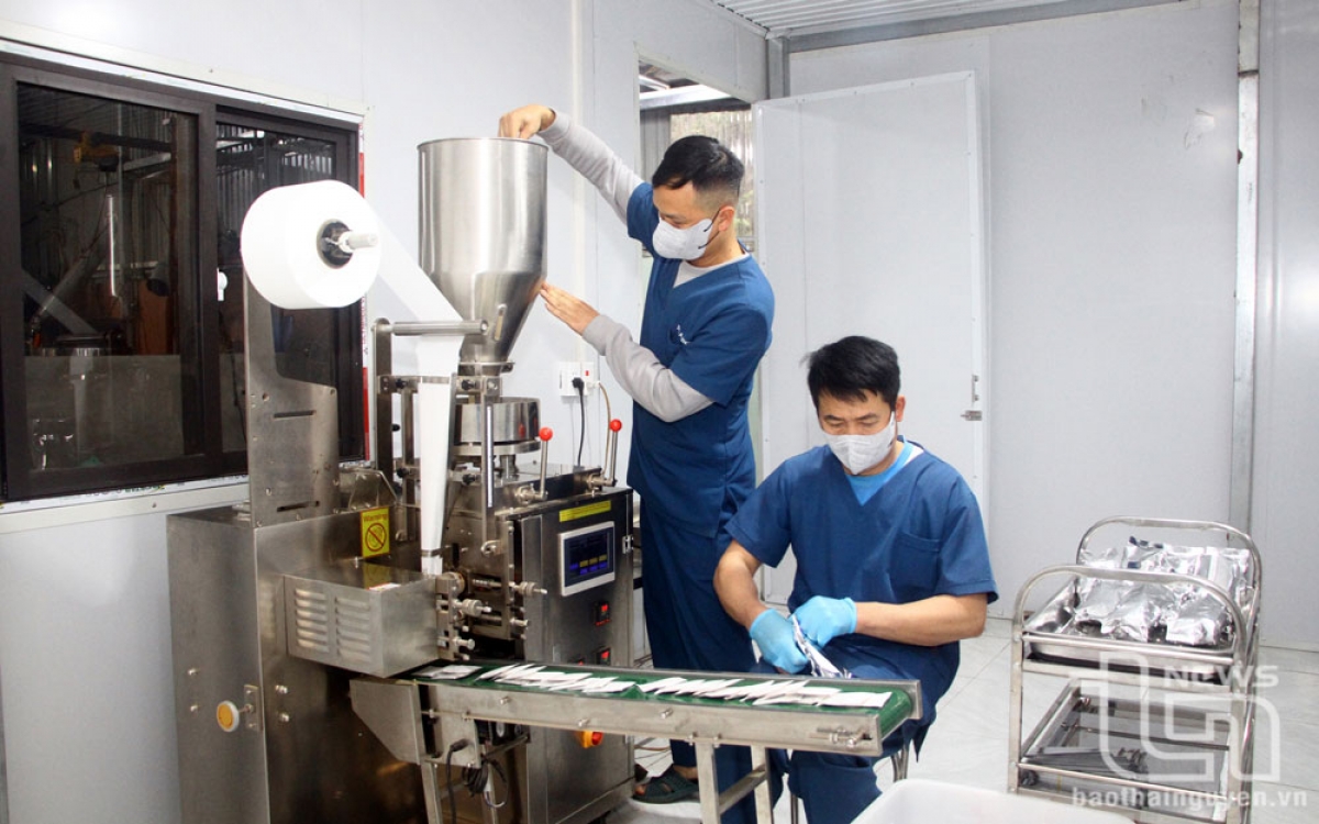 Chế biến, sản xuất thuốc từ dược liệu quý trong nước