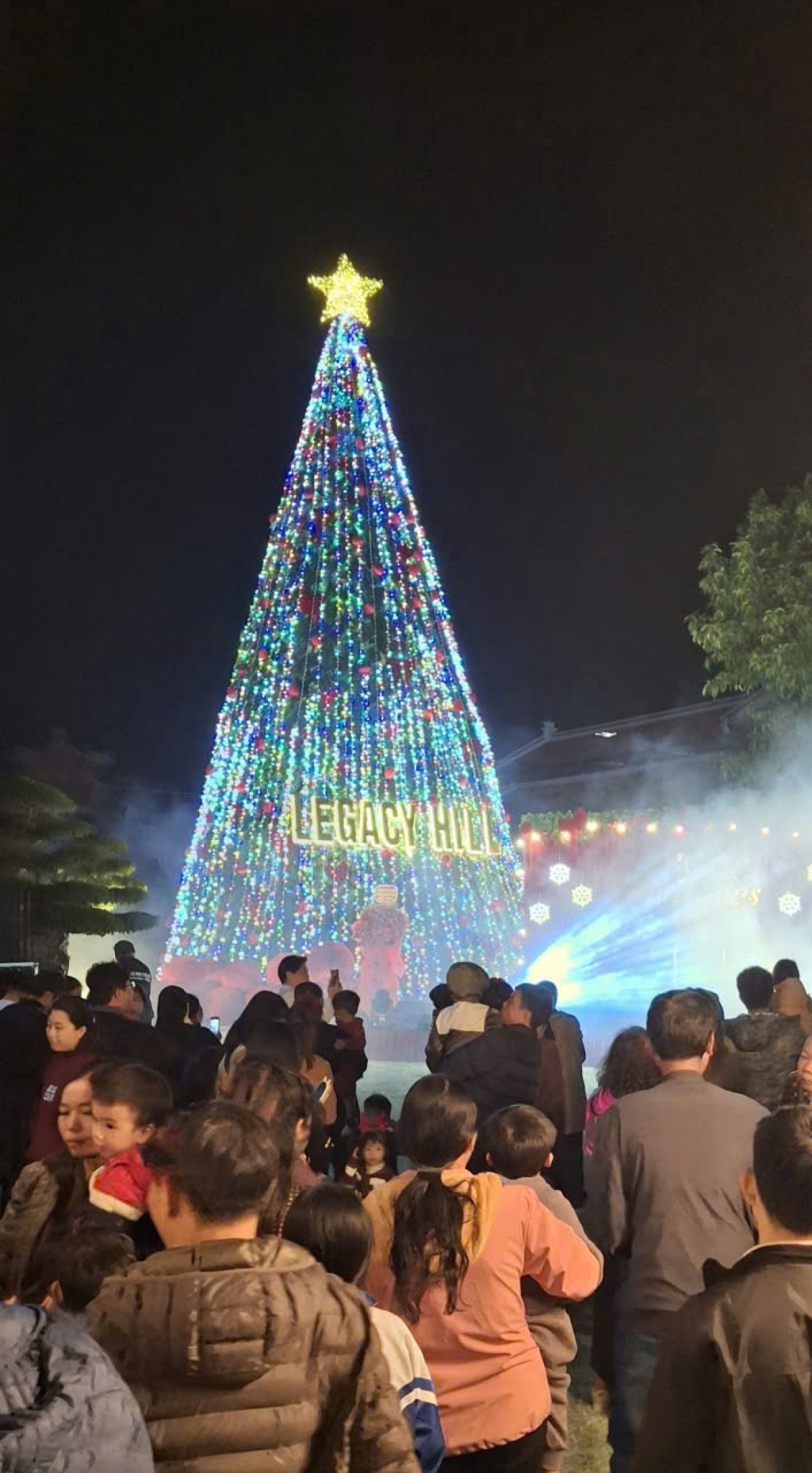 Cây thông được xếp hoàn toàn bằng lá cọ, tạo nên một biểu tượng Giáng sinh xanh, độc đáo