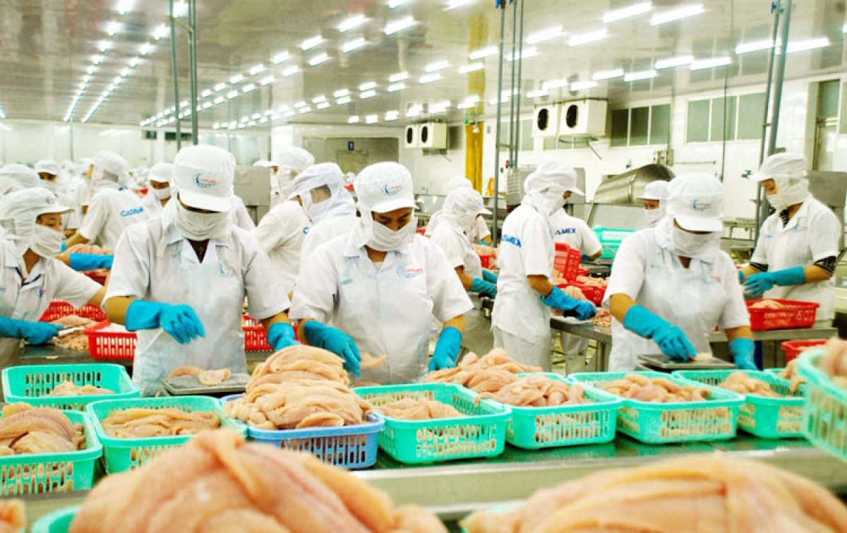 2025 là năm đầu tiên ngành thuỷ sản Việt Nam vượt ngưỡng xuất khẩu 11 tỷ USD (ảnh minh hoạ)