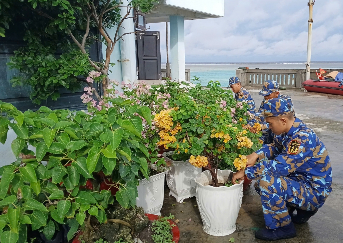 Chiến sĩ đảo Cô Lin chăm sóc bồn hoa cây cảnh