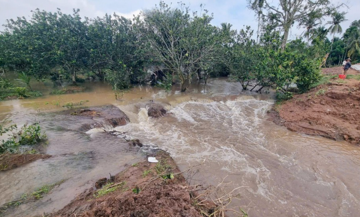 Cồn Thanh Long thuộc xã Quới Thiện bị sạt lở.