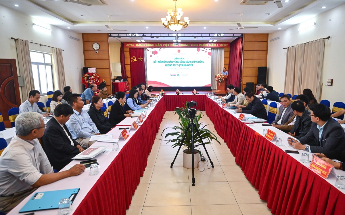 Bà Ngô Thị Thu Hồng đồng hành cùng nông dân và hợp tác xã tiêu thụ rau màu vụ Đông