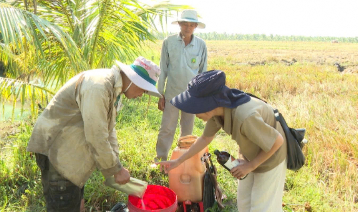 Thành viên VACNE trong Dự án đang hướng dẫn nông dân sử dụng chế phẩm vi sinh