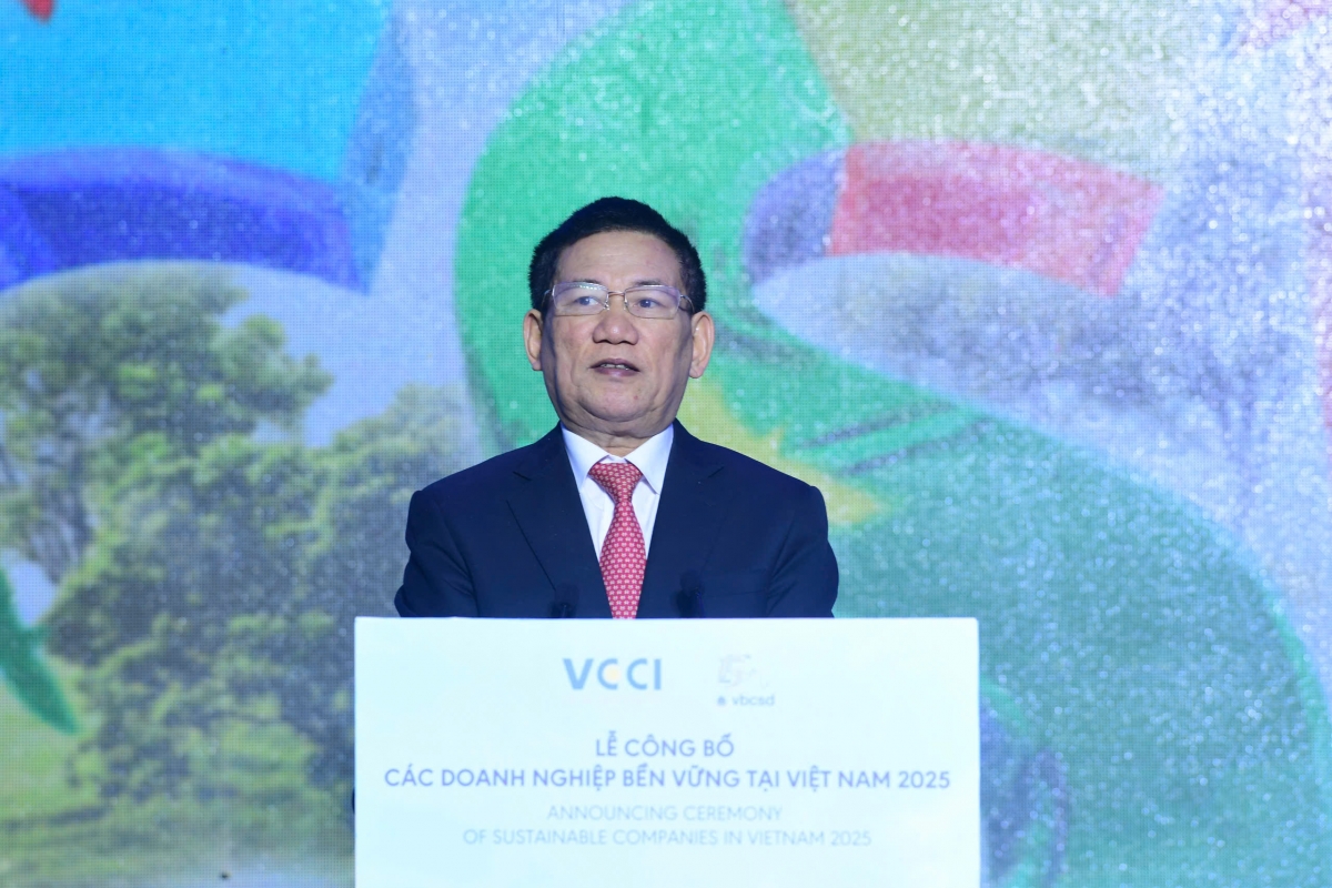 Phó Thủ tướng Hồ Đức Phớc phát biểu tại lễ công bố