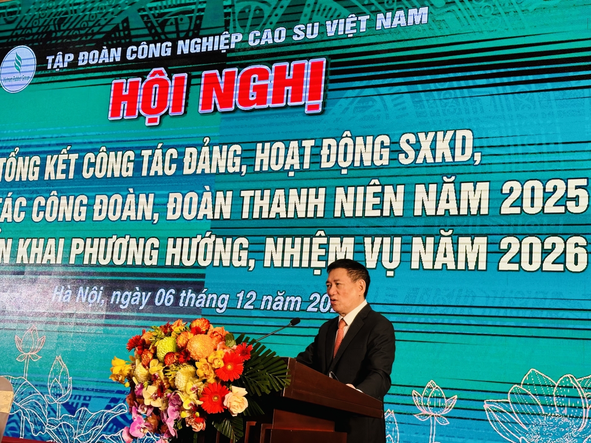 Phó Thủ tướng Hồ Đức Phớc phát biểu chỉ đạo Hội nghị