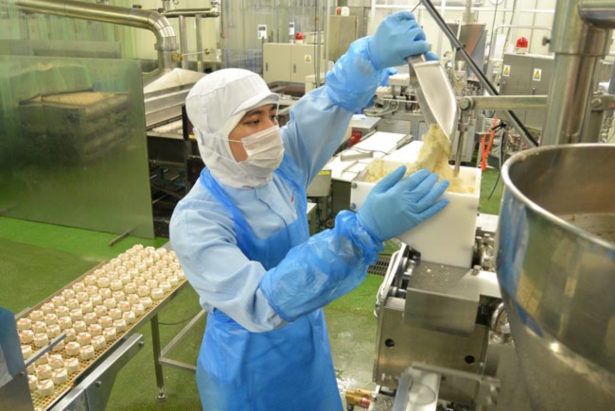 Lao động Việt Nam luôn được giao đảm nhiệm những công đoạn quan trọng trong quá trình sản xuất (ảnh Jiji Press)