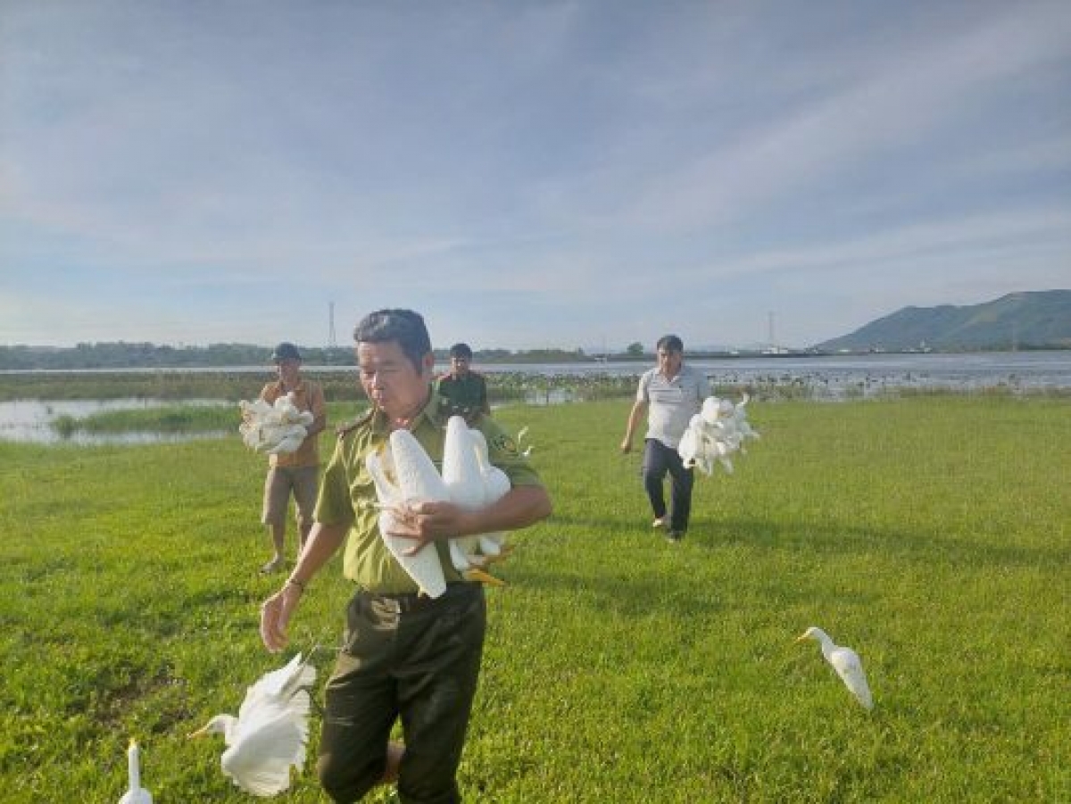 Lực lượng chức năng tiến hành tháo gỡ cò giả bằng xốp
