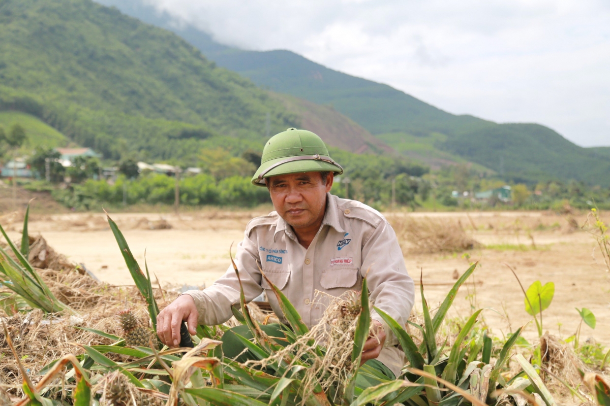 Người dân khó khôi phục sản xuất vụ Đông Xuân tới