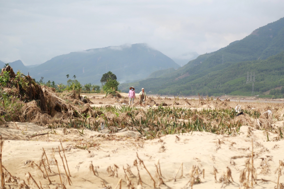 Người nông dân vùng hạ du sông Vu Gia gắng gượng khôi phục sản xuất