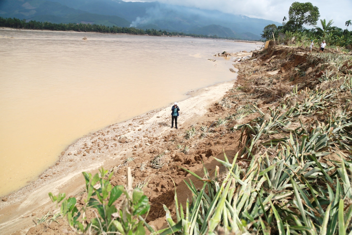 Những cánh đồng biến dạng sau lũ lịch sử