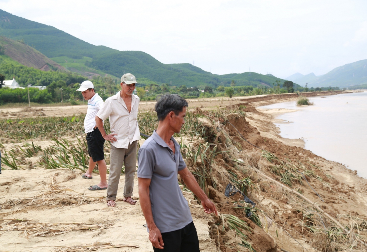 Phần lớn đất canh tác ven sông Vu Gia bị sạt lở, vùi lấp