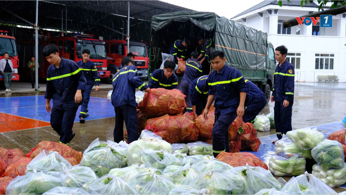 Cán bộ, chiến sỹ Công an tỉnh Lâm Đồng phân loại rau xanh để gửi tới người dân vùng lũ tỉnh Khánh Hoà.