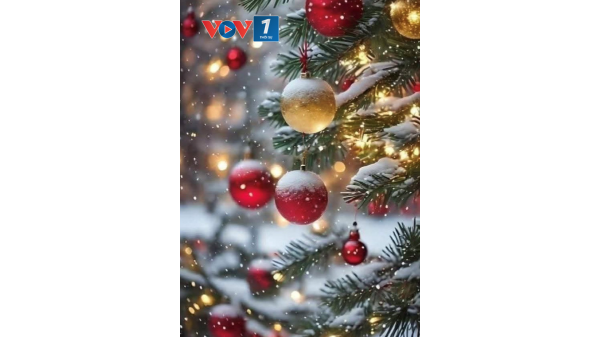 Cây thông được trang trí bằng những quả cầu lấp lành và các dây đèn màu