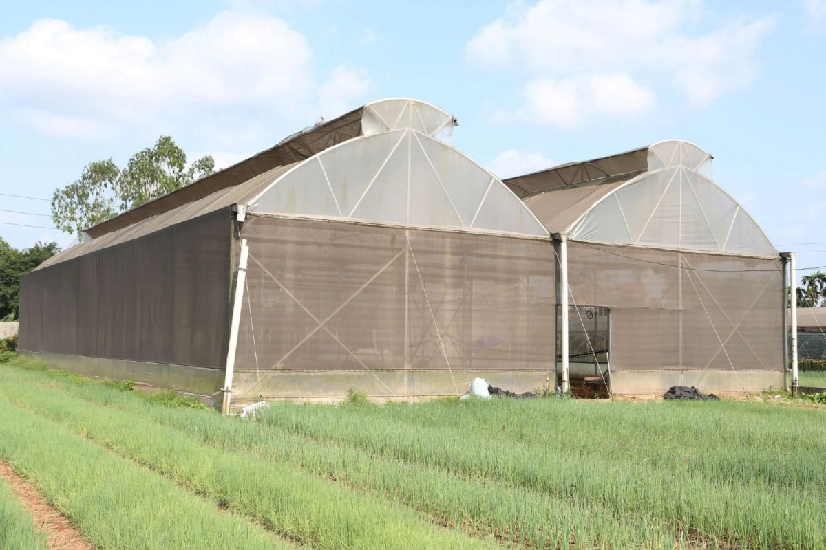 Sơn La đưa nhiều mô hình nông nghiệp thông minh vào sản xuất đại trà