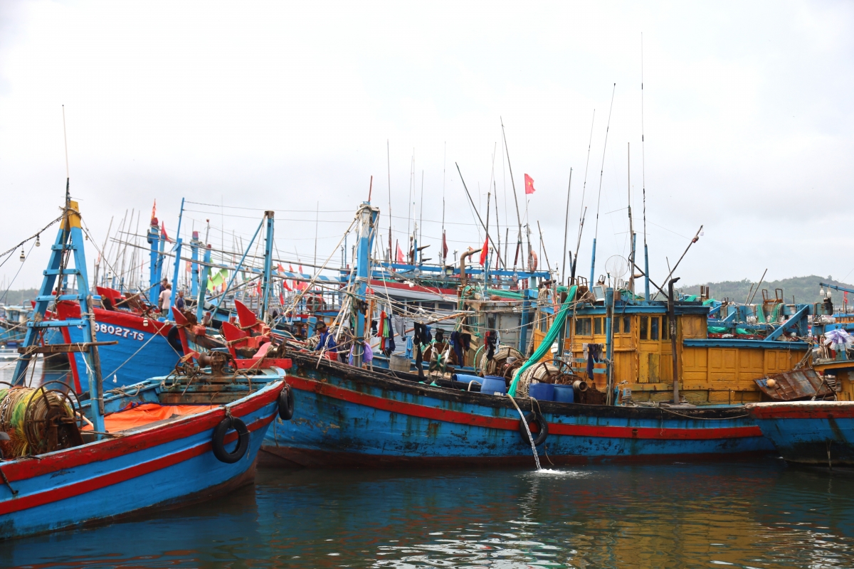 100% tàu cá của đã đăng ký và được cập nhật trên hệ thống cơ sở dữ liệu nghề cá Quốc gia