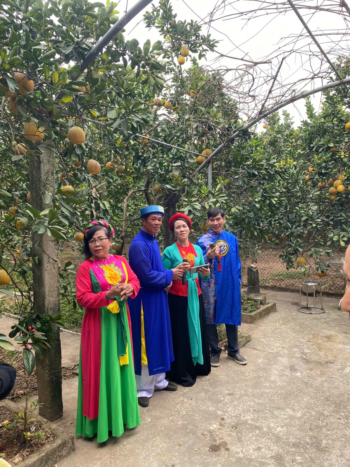 Tham quan vườn bưởi tại xã Vân Đình du khách được thưởng thức âm nhạc dân gian truyền thống