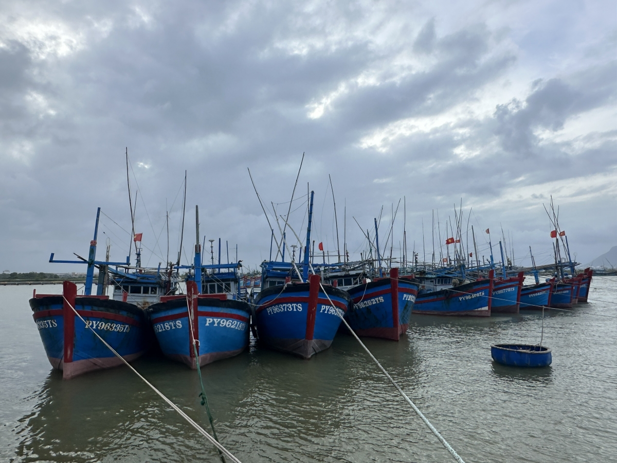 Thời tiết dần ổn định, nhiều tàu cá đã chuẩn bị xuất bến, bước vào vụ cá Bắc với kỳ vọng bù đắp phần nào những tổn thất do thiên tai gây ra.