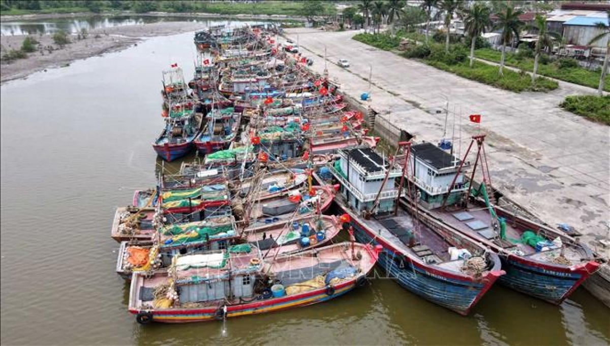 Tàu cá của ngư dân Hưng Yên dừng đỗ ở cảng cá Tân Sơn. Ảnh: Thông tấn xã