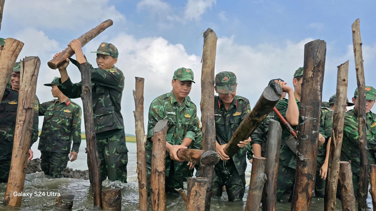 Cán bộ chiến sỹ Đồn Biên phòng Sông Trăng gia cố đê cứu lúa cho bà con trong đợt lũ vừa qua