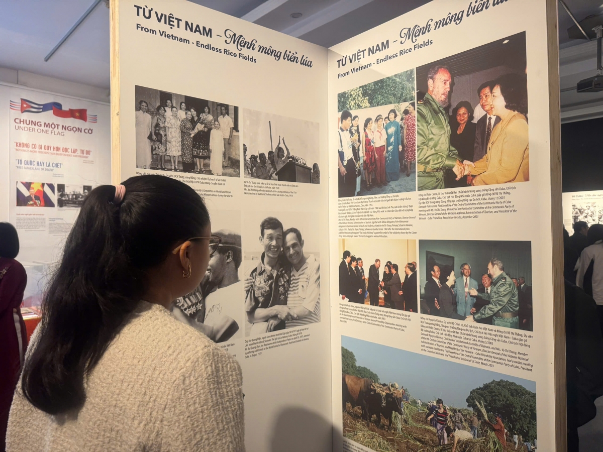 Đại biểu và khách mời tham quan trưng bày