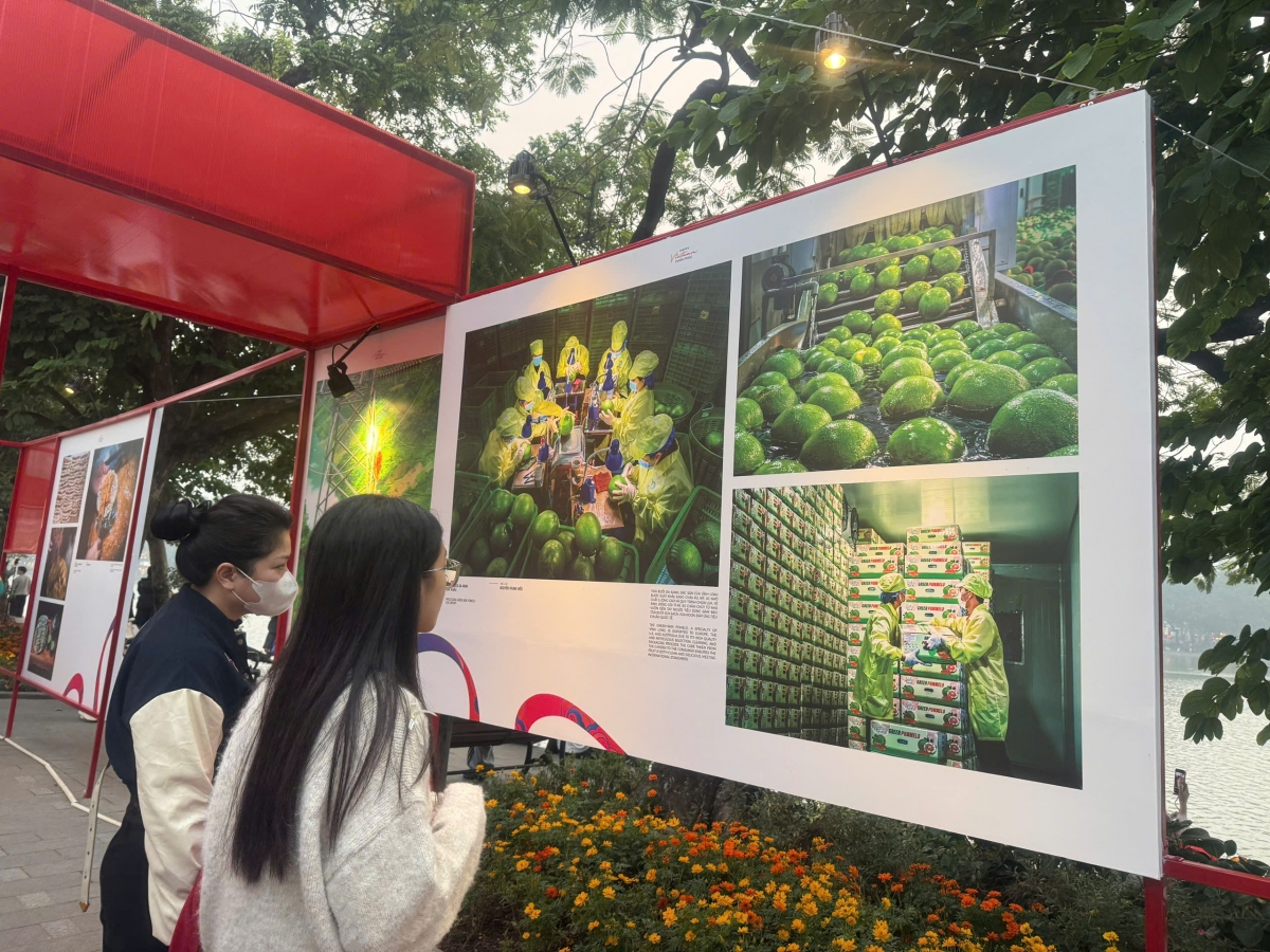 Người trẻ được tìm hiểu giá trị văn hoá, lịch sử và hoạt động kinh tế tại các tỉnh thành