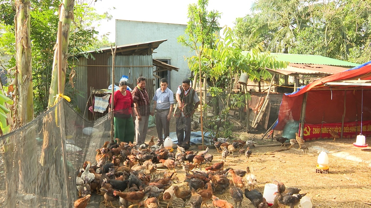 Ông Mang Mu (bên phải ngoài cùng) chia sẻ kinh nghiệm nuôi gà thịt