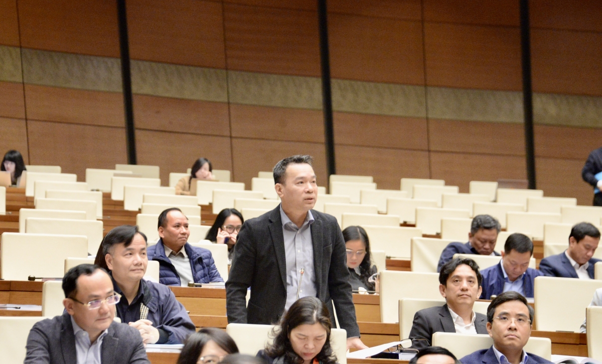 Đại diện cử tri phát  biểu