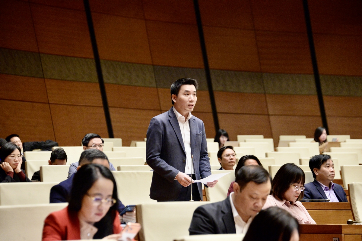 Đại diện ứng cử đại biểu Quốc hội phát biểu