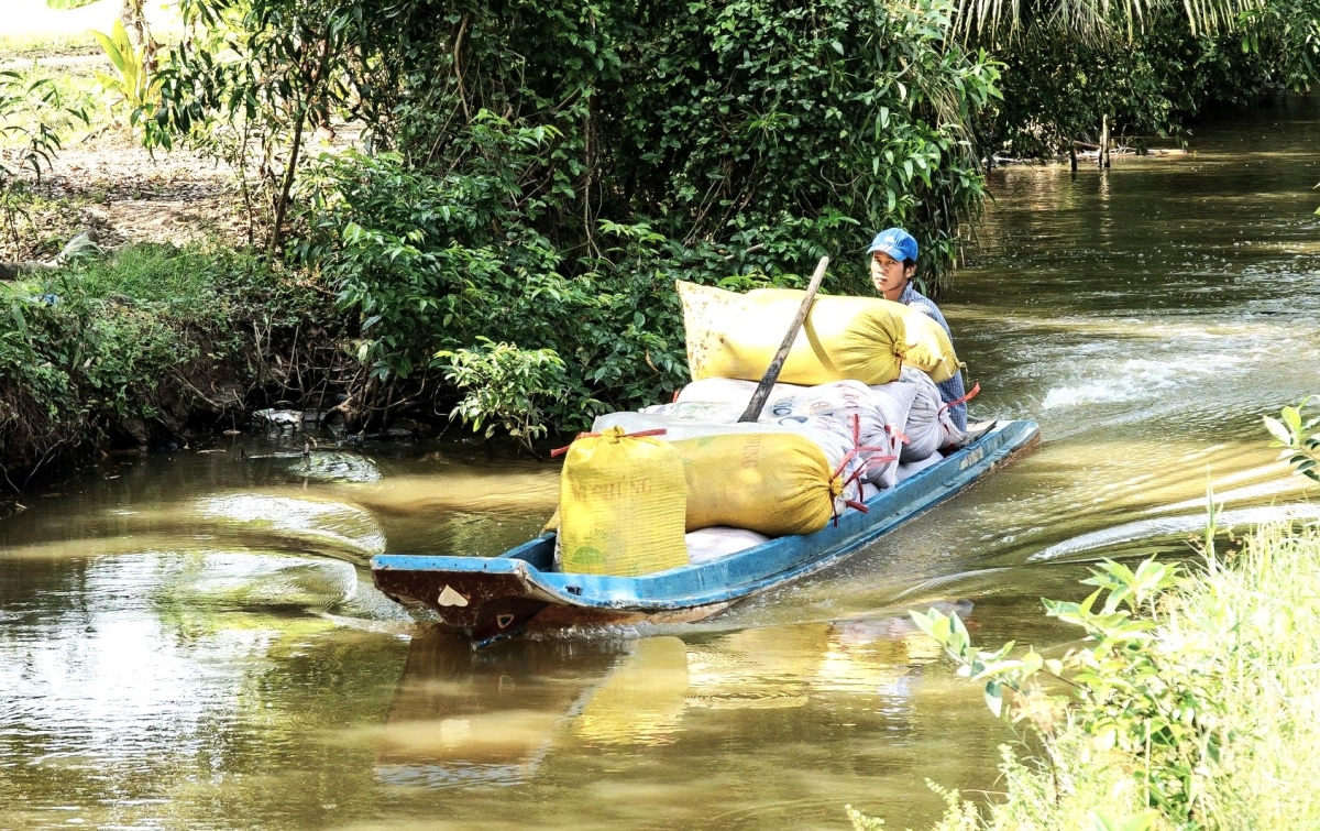 Người nông dân Cà Mau cũng tin tưởng, đảng và nhà nước sẽ tiếp tục có những chính sách để nâng cao đời sống vật chất, tinh thần của họ.