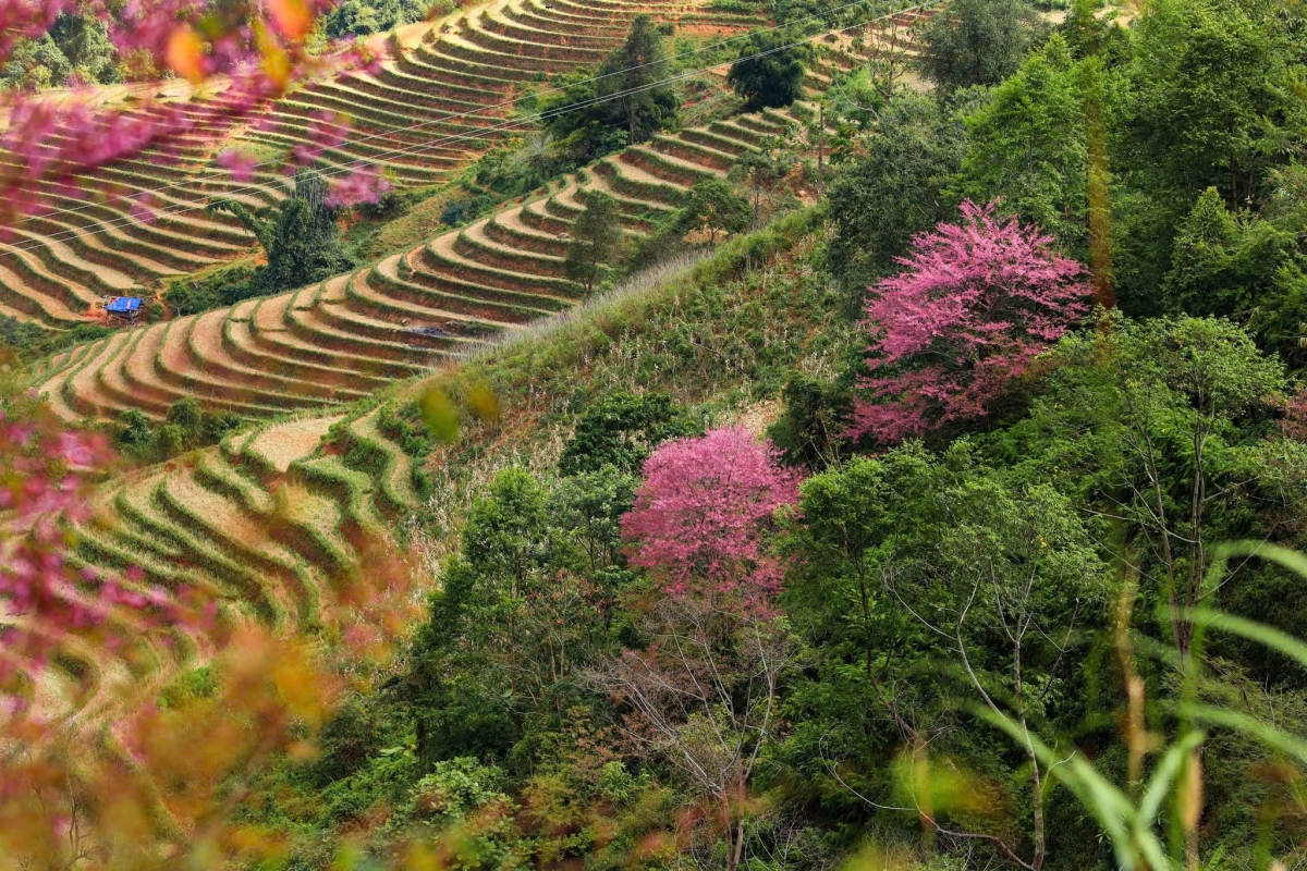 Cung đường chạy đẹp thơ mộng.