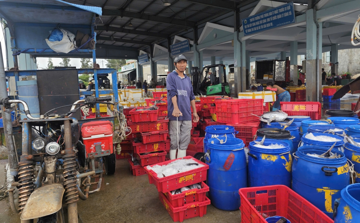 Ngư dân bám biển ngày giáp Tết