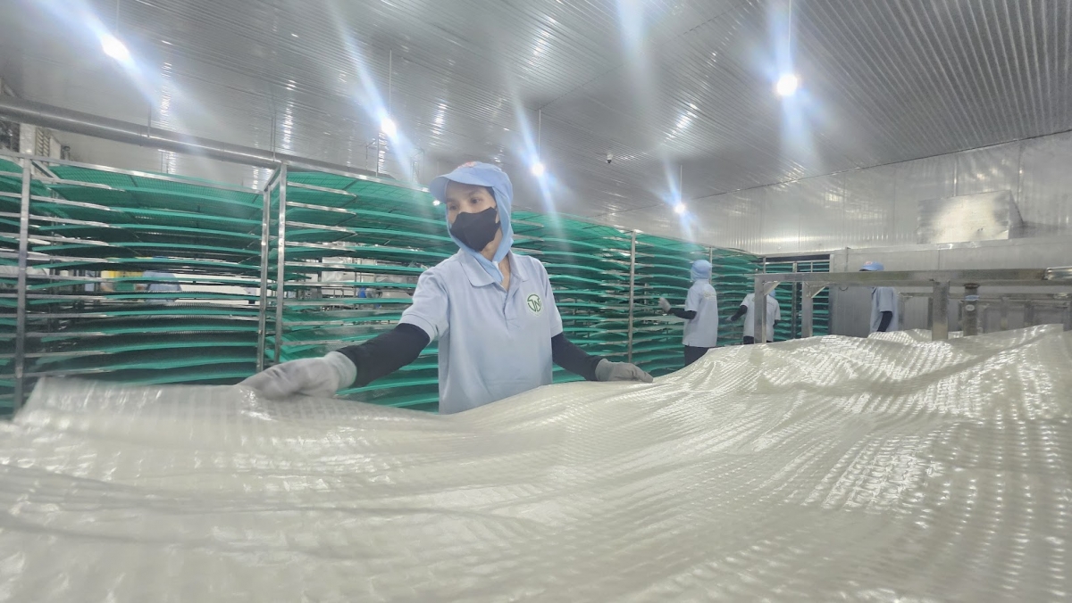 Bánh tráng Tây Ninh đa dạng chủng loại, phù hợp với nhiều cách chế biến và nhịp sống hiện đại